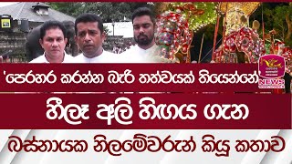 හීලෑ අලි හිඟය ගැන බස්නායක නිලමේවරුන් කියූ කතාව | Sri Lankan Elephant | Rupavahini News