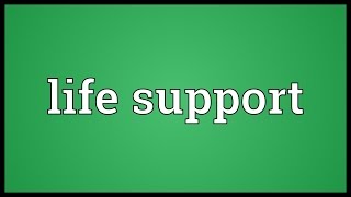 Life support Meaning