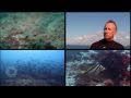 Sunshine Coast marine biodiversity assessment - short documentary