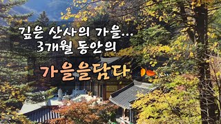 깊은 산사에서 띄우는 가을 에세이 / 3개월 동안의 자연다큐