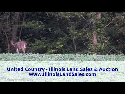 Andrew Strow (217) 691-6094 - www.IllinoisLandSales.com Andrew Strow (217) 691-6094 - www.IllinoisLandSales.com