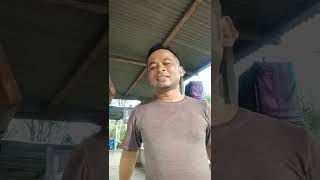 Tips terbaik perawatan bahan burung tledekan bakau,dijamin ampuuuuuhhh 👍👍👍