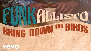 Funkallisto - Bring Down the Birds (Funky Music) - HQ Audio