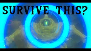 CAN ANY ENEMY TAKE AN ANCIENT ARROW! (BOTW)