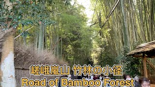 日本自由行 京都 嵯峨嵐山 竹林小徑 竹林の小径/Road of Bamboo Forest Kyoto Japan Traveling