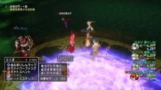 【DQX】邪神の宮殿 闇に堕ちた英雄の幻影 1分54秒47