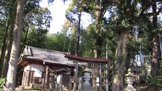 四街道市の内黒田地区の熊野神社