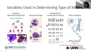 MDS Classifications Webinar 2025