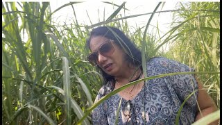 A Day in Raichur Agricultural Fields | Top 10 See Places in Raichur|Vlog 24