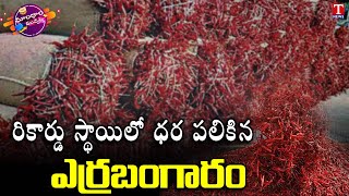 Mirchi sets record in Warangal | 80K for Quintal Mirchi | Dhoom Dhaam Muchata | T News