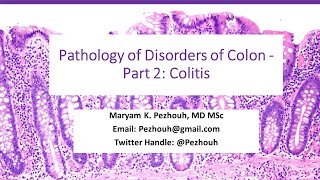 Part 2 of Pathology of Colonic disorders- Colitis