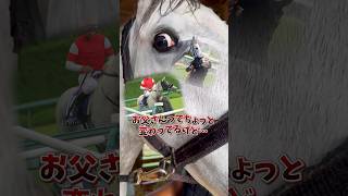 父ゴールドシップに【既視感】を抱くゴルティ #競馬 #馬 #horse #ゴールドアバンティ #ゴールドシップ