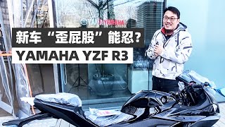 喜提R3撸羊毛 新车“歪屁股”能忍？｜照摩镜