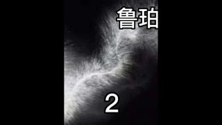 第2段｜研究了四百年的超级玻璃#鲁珀特之泪 #钢化玻璃