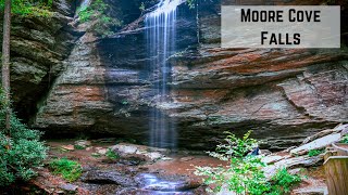 Moore Cove Falls - Pisgah Forest, NC