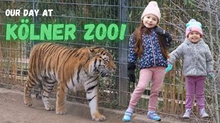 Kölner Zoo | Cologne Zoological Gardens | Germany