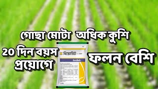 ধানের পাশকাঠি বৃদ্ধির উপায় | Ways of growing rice paddy ধানের ২০ দিন বয়সে প্রয়োগ করলে ফলন বাড়বে