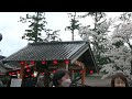 天宮神社例大祭十二段舞楽奉納（静岡県森町）令和6年4月