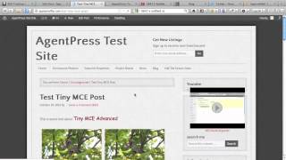 TinyMCE Advanced Overview