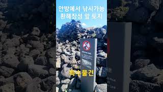 정말 끝내주는 바닷가 앞토지 110평 6억7200만(제주도부동산)