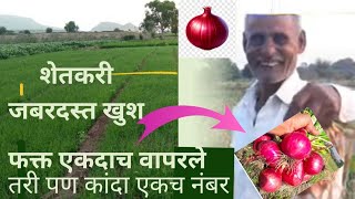 #धन्वन्तरी चे RPS76 कांद्यासाठी ठरले वरदान l कांदा फुगावणे नियोजन l #onion #कांदा #dhanwantari_life