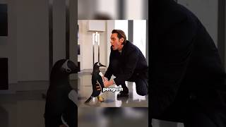 Man received a penguin as an inheritance 🤣 #shorts #viral #movies #cinemarecap