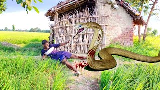 Anaconda snake in real life video 3 | Snake video