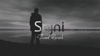 Sajni (Slowed Reverb) Jal The Band