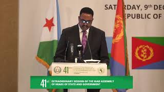 H.E. Dr. Workneh Gebeyehu at the 41st Extra-Ordinary Summit of IGAD Heads of State and Government