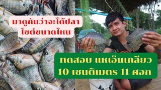 แหเอ็นเกลียว 10 เซนติเมตร 11 ศอก มาดูกันว่าจะได้ปลาไซต์ขนาดไหน