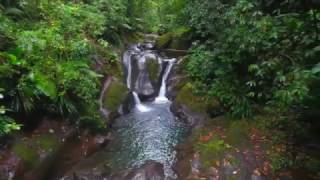 Kali - Monté la riviè (Guadeloupe)