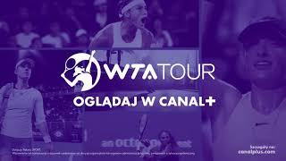 WTA TOUR | Oglądaj w CANAL+
