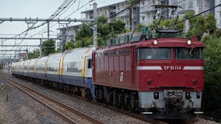 【遂に余剰編成廃車へ！】255系秋田廃車回送 配9721レ  EF81 134[新潟]① + 255系Be-05編成