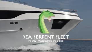 Red Sea-our fleet Sea Serpant boasting with new revamped boats!