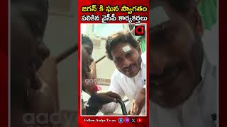 జగన్ కి ఘన స్వాగతం పలికిన వైసీపీ కార్యకర్తలు | YCP Leaders Gave A Warm Welcome to Jagan | AADYA TV