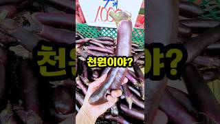 사장님 남는게 있으세유? #가지 #시장 #shorts