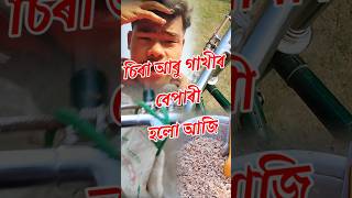 চিৰা আৰু গাখীৰ বেপাৰী হলো আজি। #shortsviral #LocalMiniVlog#minivlog #assamesevideo#demowminivlog