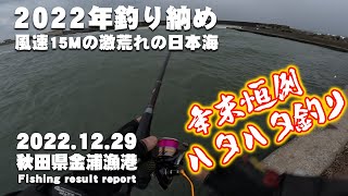 2022年釣り納め！秋田県金浦漁港でハタハタ釣り！風速15Mの爆風で果たしてハタハタは釣れるのか？