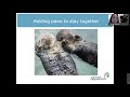 rachel nelson a sea otter s life from rescue to rehabilitation