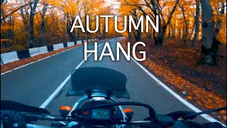 POV Female Ride. Autumn Forest Road. Healing sounds of motorcycle engine and Hang [4K] TTR Raid 250