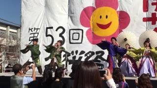 名桜祭2016 守破離 想愛