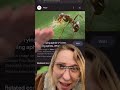 wake up babe new bug fact just dropped bugtok