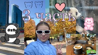 Моя поездка в Пекин💖3 часть. Пошла в гости к пандам🐼💗Конец путешествия😢