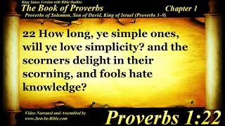 Proverbs Chapter 1 - Bible Book #20 - The Holy Bible KJV Read Along Audio/Video/Text (1st narration)
