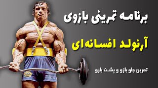 برنامه تمرینی بازوی آرنولد