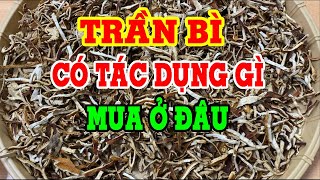 Trần bì - Trần bì có tác dụng gì - Trần bì mua ở đâu