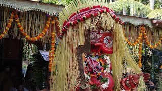 പാട്യം അണിയറ ഇല്ലത്തെ ഉച്ചിട്ടഭഗവതിയുടെ പുറപ്പാട് | Uchitta Bhagavathy Purappad #travel #theyyam