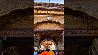 Golden temple 🙏 darbar sahib amritsar live #shorts #viral