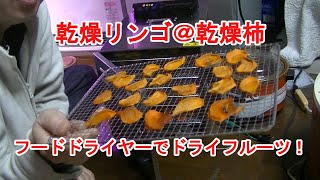 フードドライヤーで乾燥柿と乾燥リンゴを作る