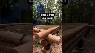 BEST Log Cabin Build for BEGINNERS!?!? #logcabin #offgrid #homestead #adirondacks #diy
